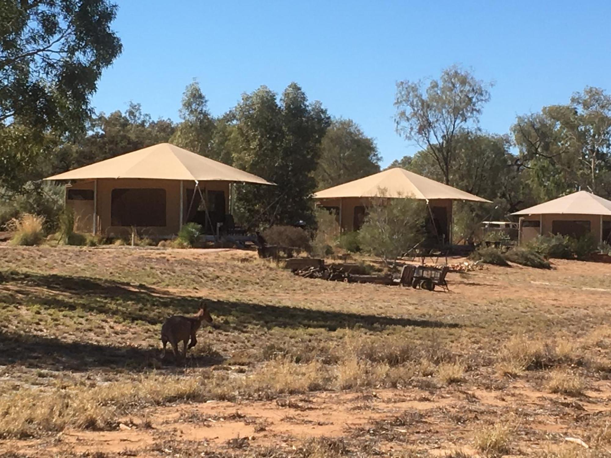 Squeakywindmill Boutique Tent B&B Alice Springs Exterior foto